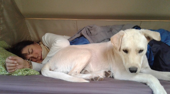 Tourismus pur … und trotzdem