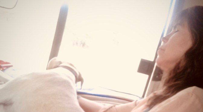 Clemencia macht weiter ..