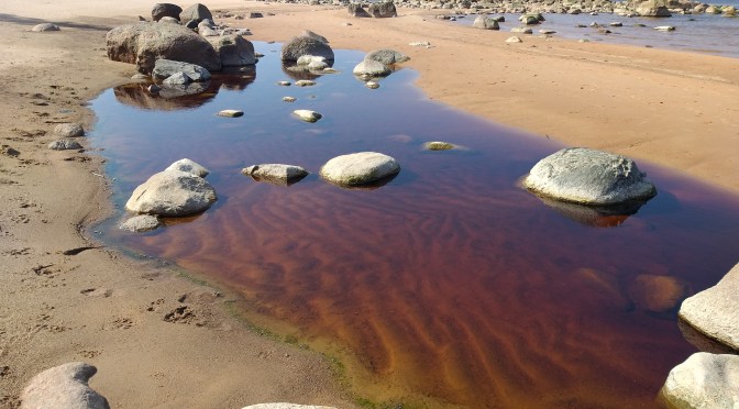 Durch Polen und das Baltikum