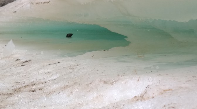 Wüsteneis, Regen und Sandsturm